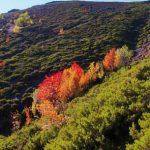 Enrique GarciÌa Bravo 11